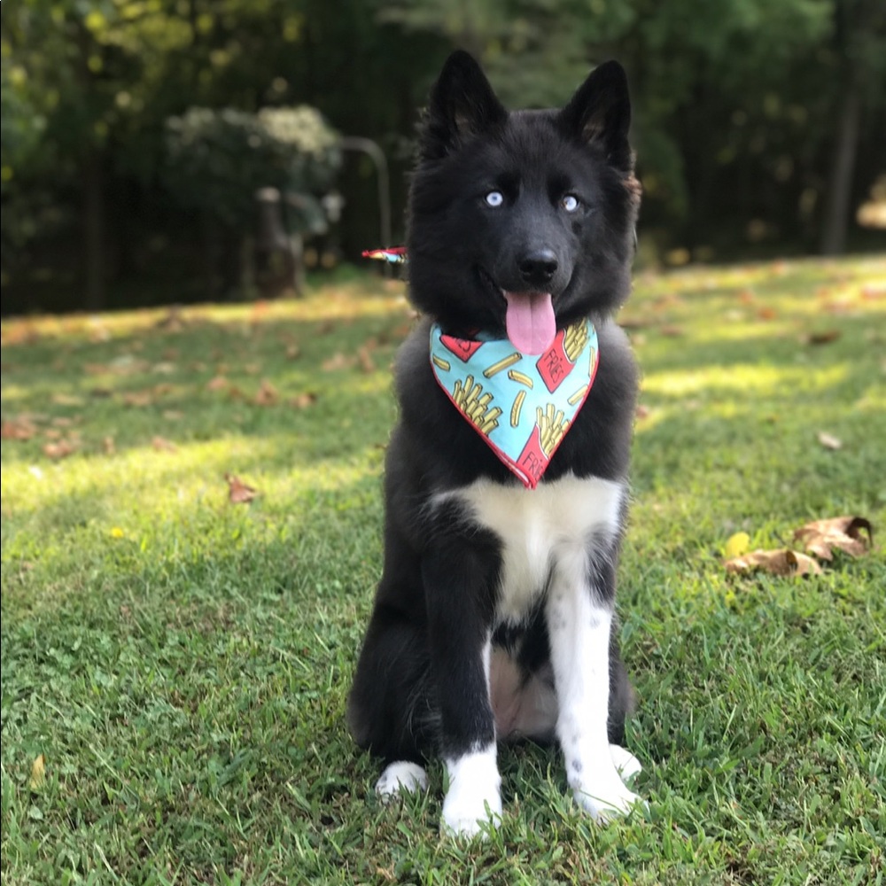 Meet your Posher, Katlynn